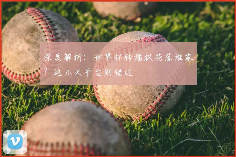 深度解析:世界杯转播权花落谁家?这几大平台别错过