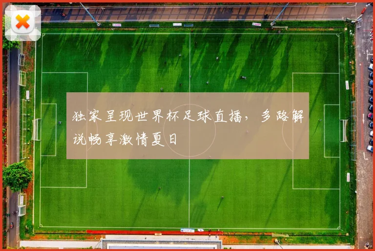 独家呈现世界杯足球直播，多路解说畅享激情夏日