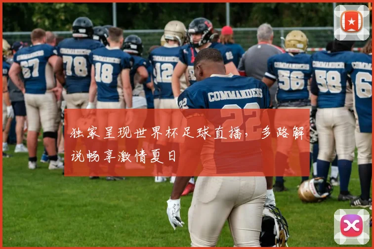 独家呈现世界杯足球直播，多路解说畅享激情夏日
