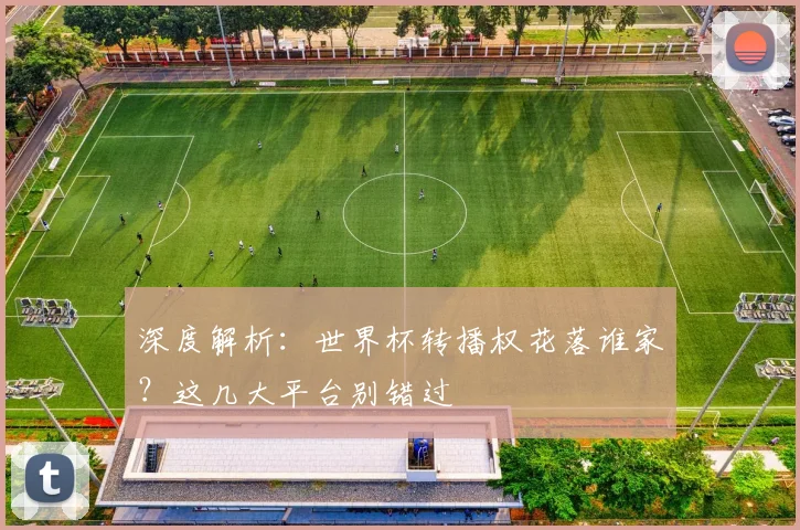 深度解析：世界杯转播权花落谁家？这几大平台别错过