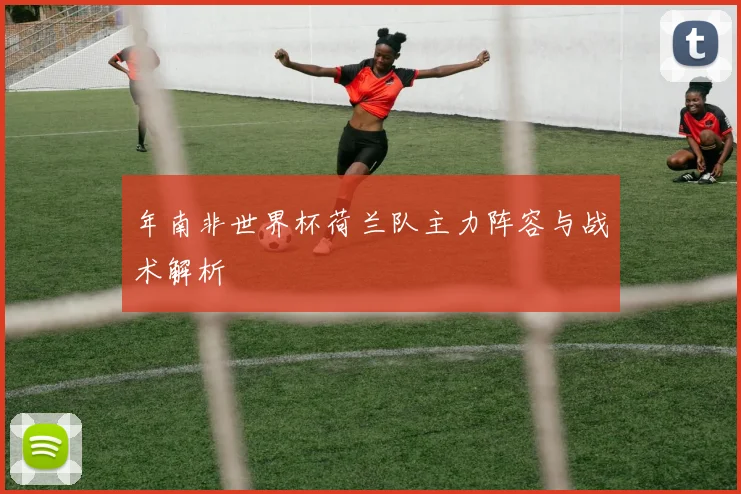 年南非世界杯荷兰队主力阵容与战术解析