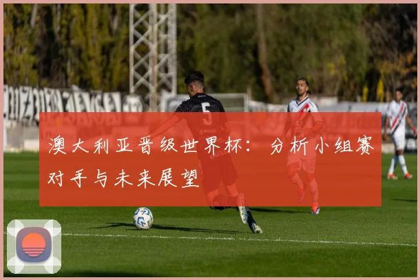澳大利亚晋级世界杯：分析小组赛对手与未来展望