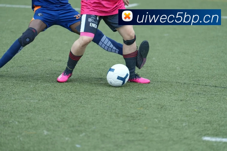 乐鱼官方网站在线登录入口网页APP 高清赛事图